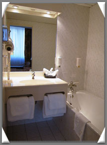 Photo 6 - Hotel Champerret Elysees Paris 3* star near the Arch of Triumph and the exhibition centres (Palais des Congrès) - Well arranged ensuite bathrooms with hairdryer and international plugs.
